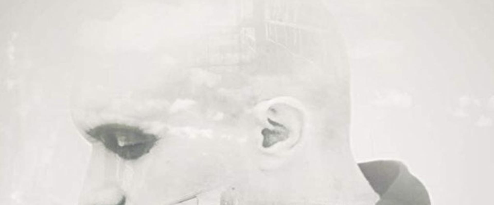 Documentary backdrop image for Lifer (2018)
