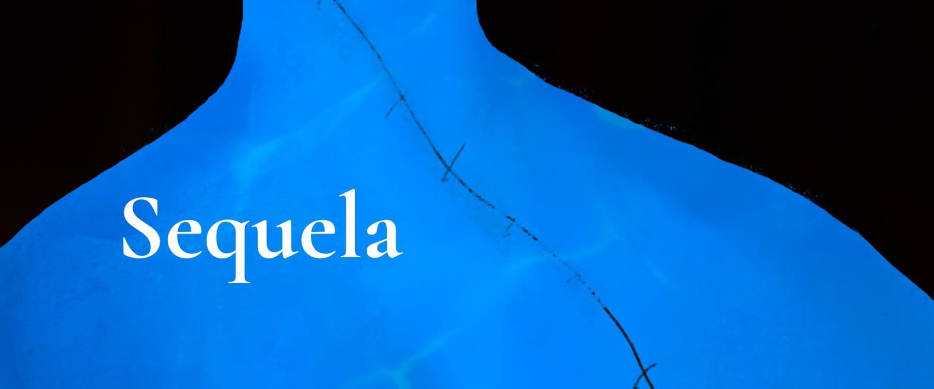 Documentary backdrop image for Sequela (2026)
