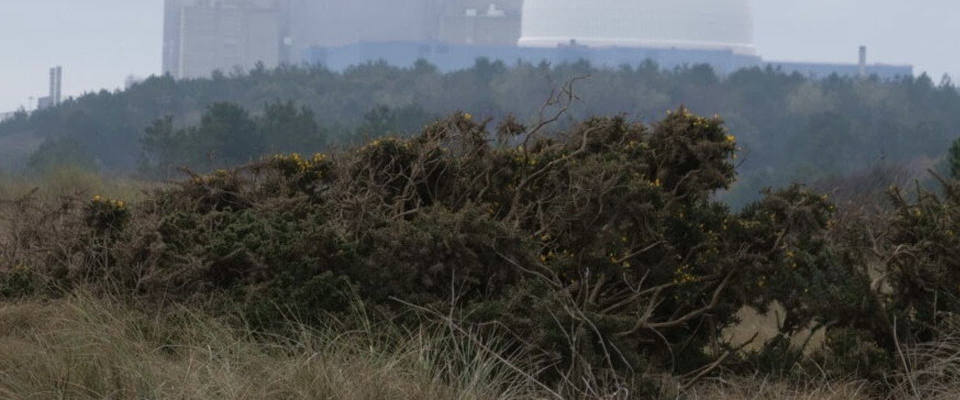 Documentary backdrop image for Immaterial Terrain (2023)