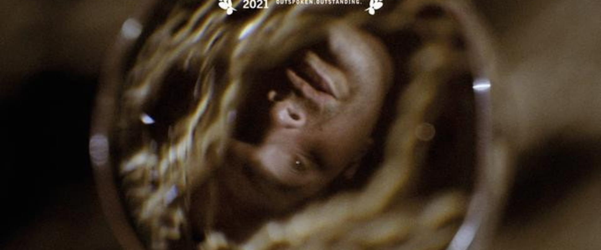 Documentary backdrop image for Wolf Whispers (2021)