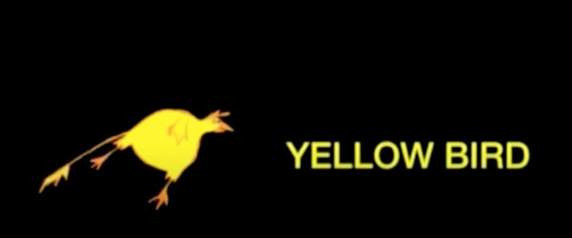Documentary backdrop image for Ouverture (2002)