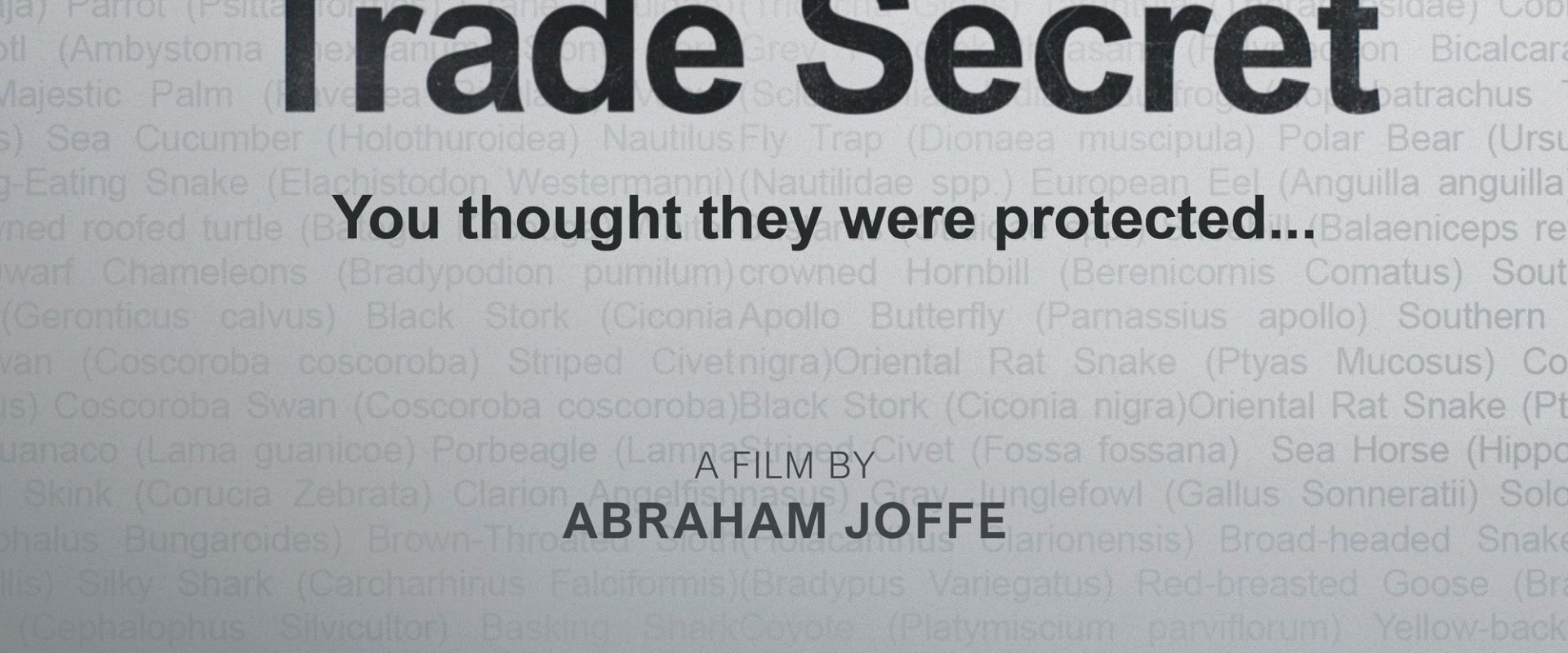 Documentary backdrop image for Trade Secret (2025)