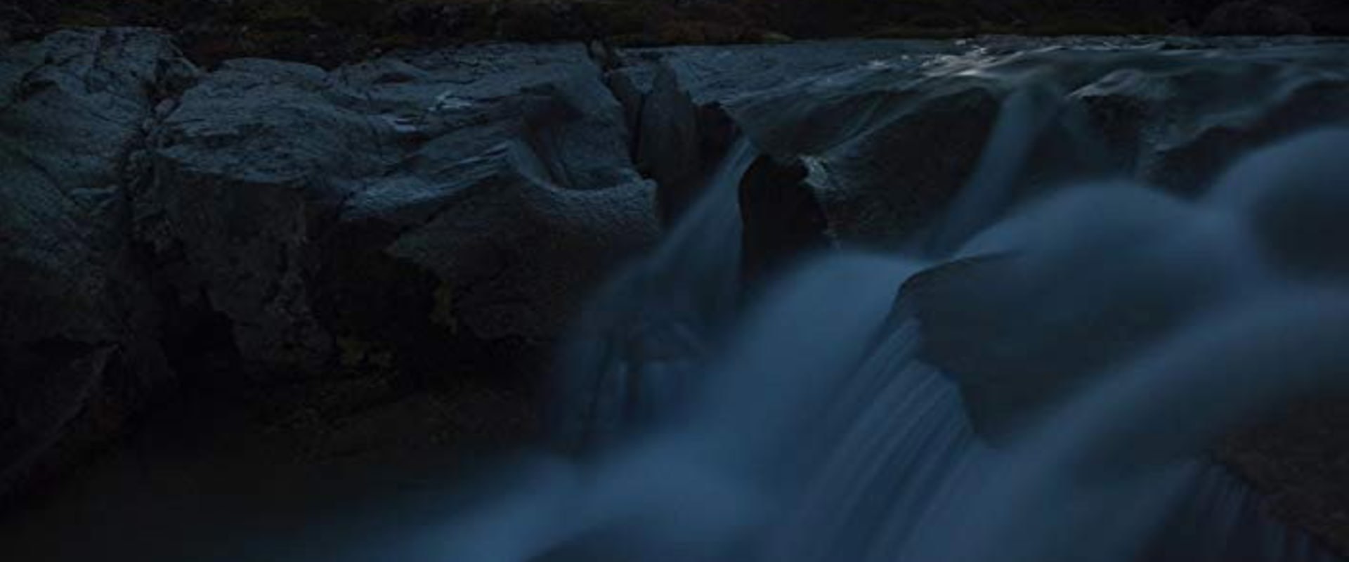 Documentary backdrop image for In the Starlight (2018)