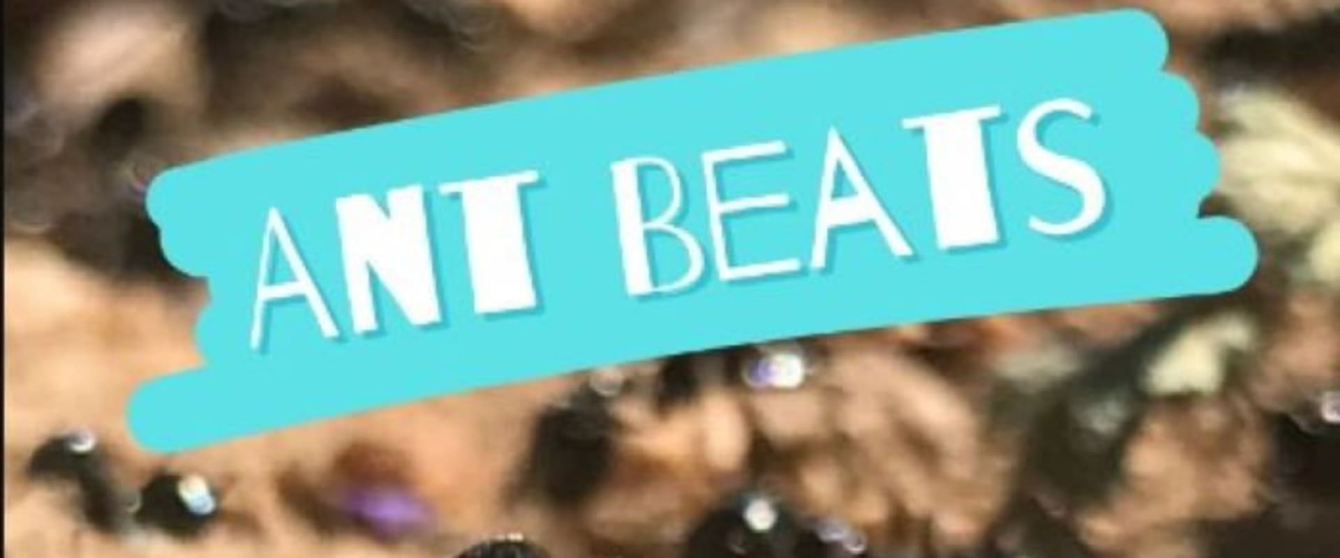 Documentary backdrop image for Ant Beats (2023)