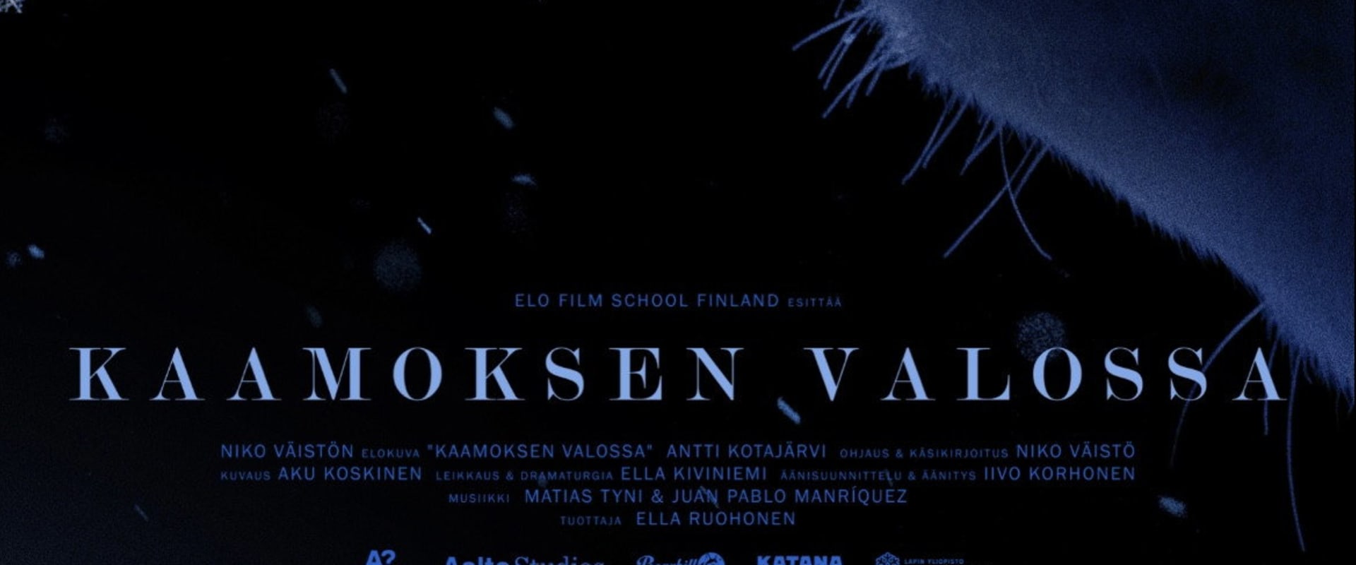 Documentary backdrop image for Polar Night Light (2022)