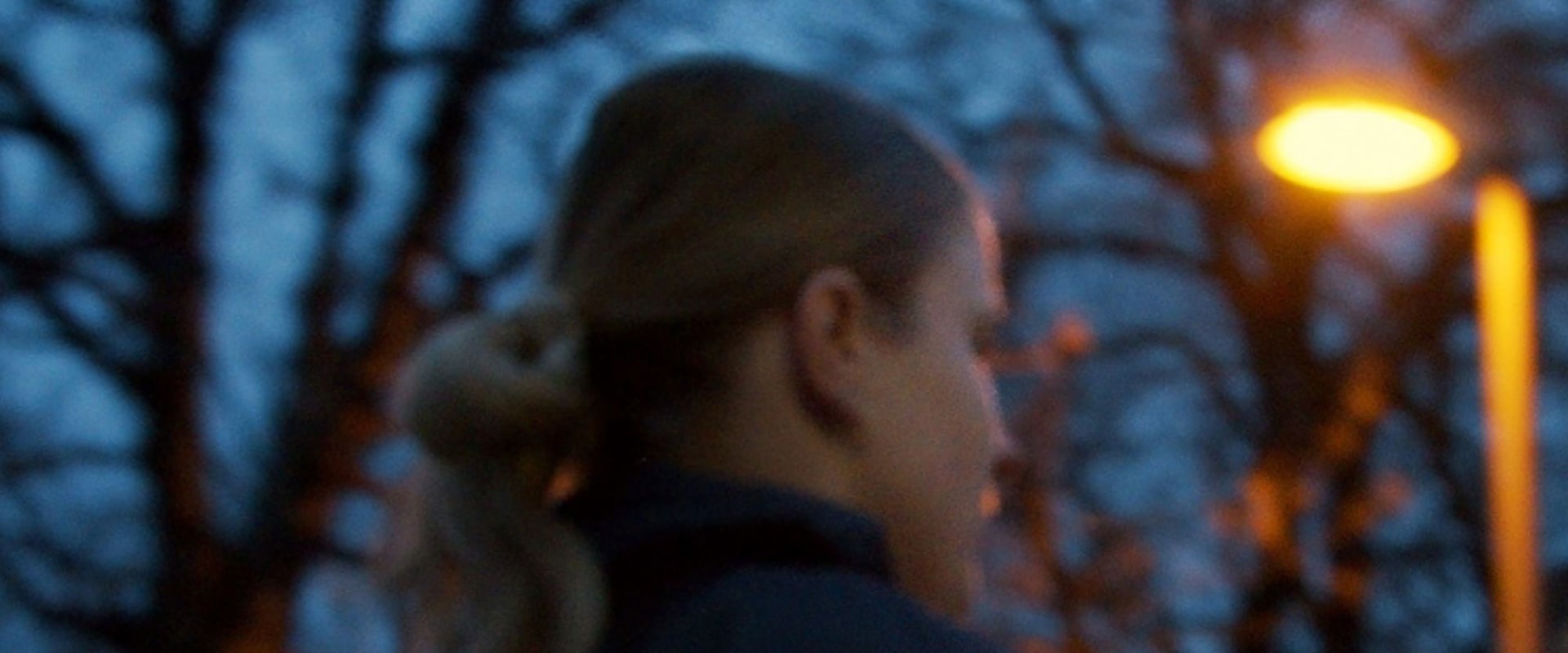 Documentary backdrop image for Marlene (2024)