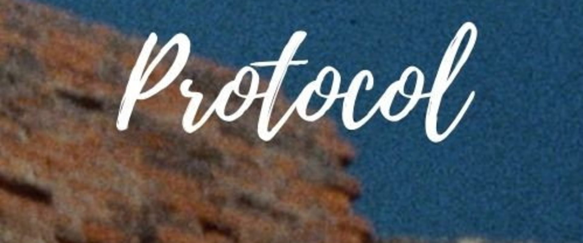 Documentary backdrop image for Protocol (2011)
