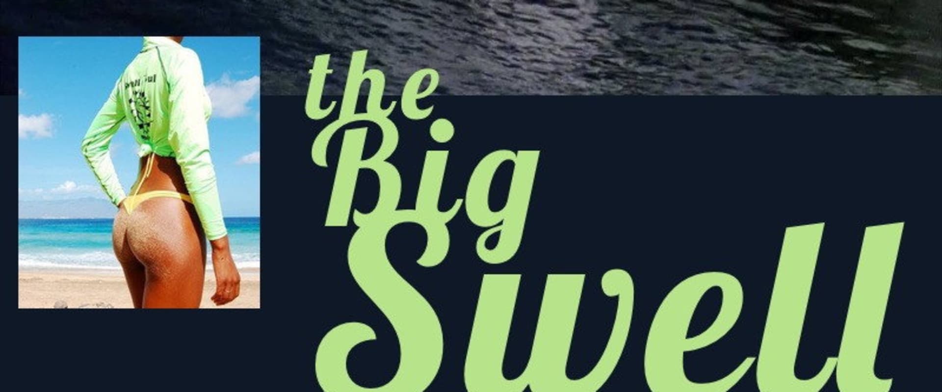 Documentary backdrop image for The Big Swell (2004)