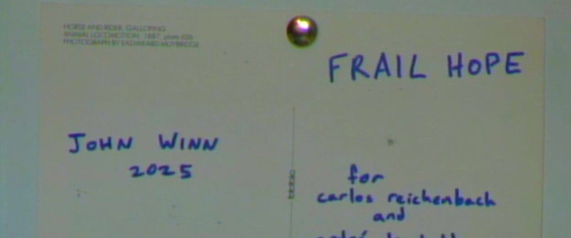 Documentary backdrop image for Frail Hope (2025)