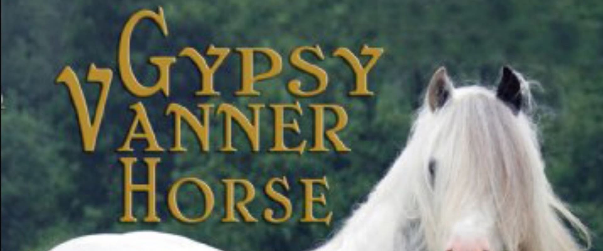 Documentary backdrop image for Gypsy Vanner Horse (2009)