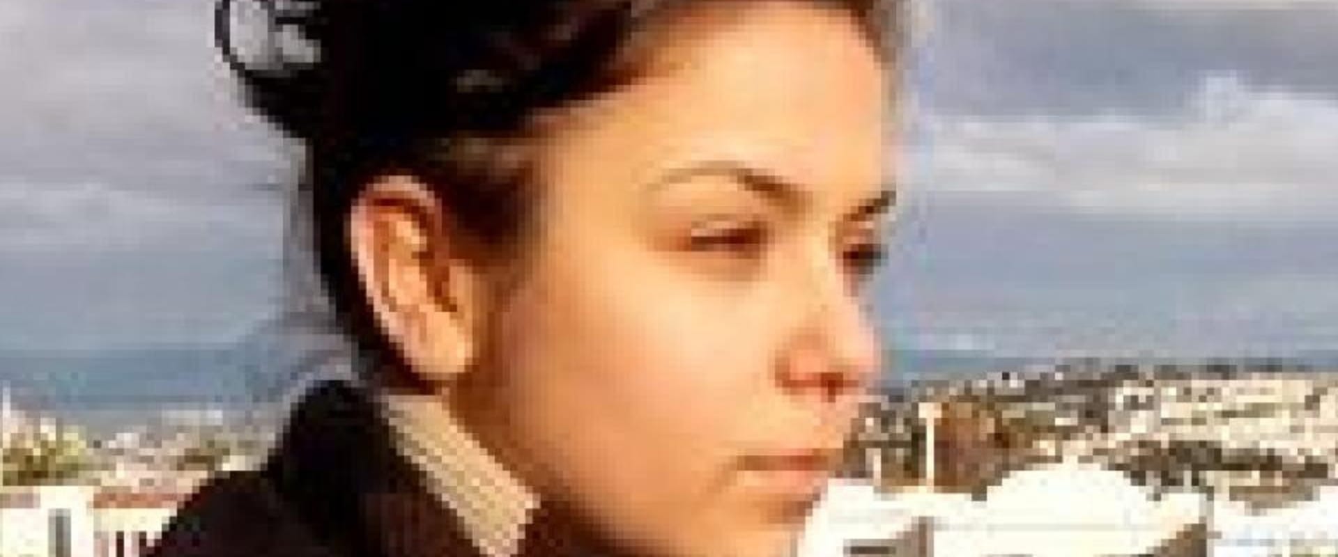 Documentary backdrop image for Without Country (2010)