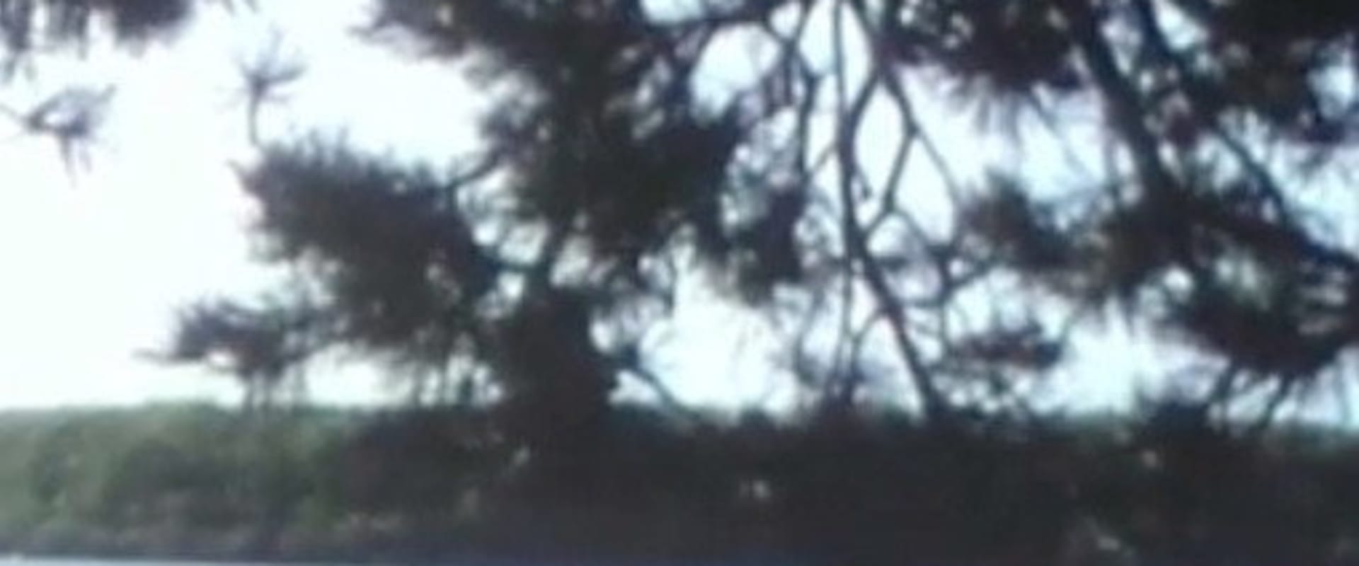 Documentary backdrop image for Autour de Boutavant (1983)
