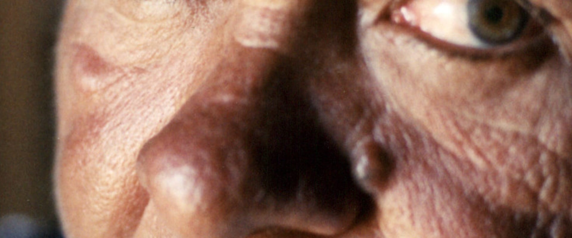 Documentary backdrop image for A Velha e o Mar (2005)