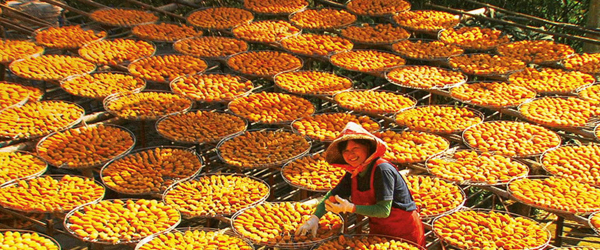 Documentary backdrop image for The Raw and the Cooked (2012)