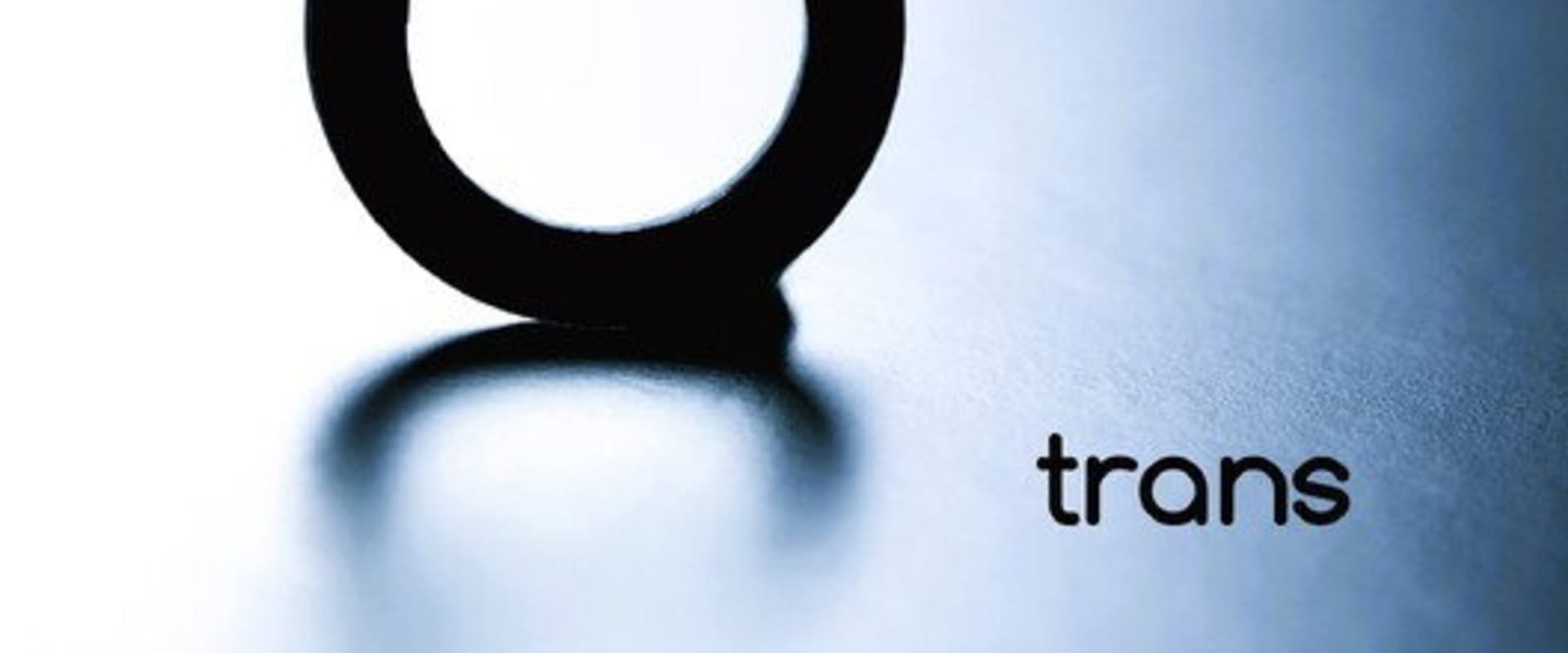 Documentary backdrop image for Trans (2024)