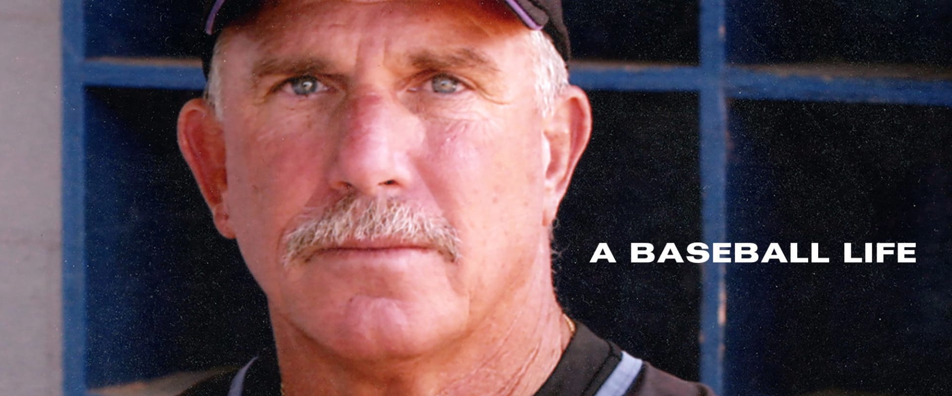Documentary backdrop image for PLUM: A Baseball Life (2021)
