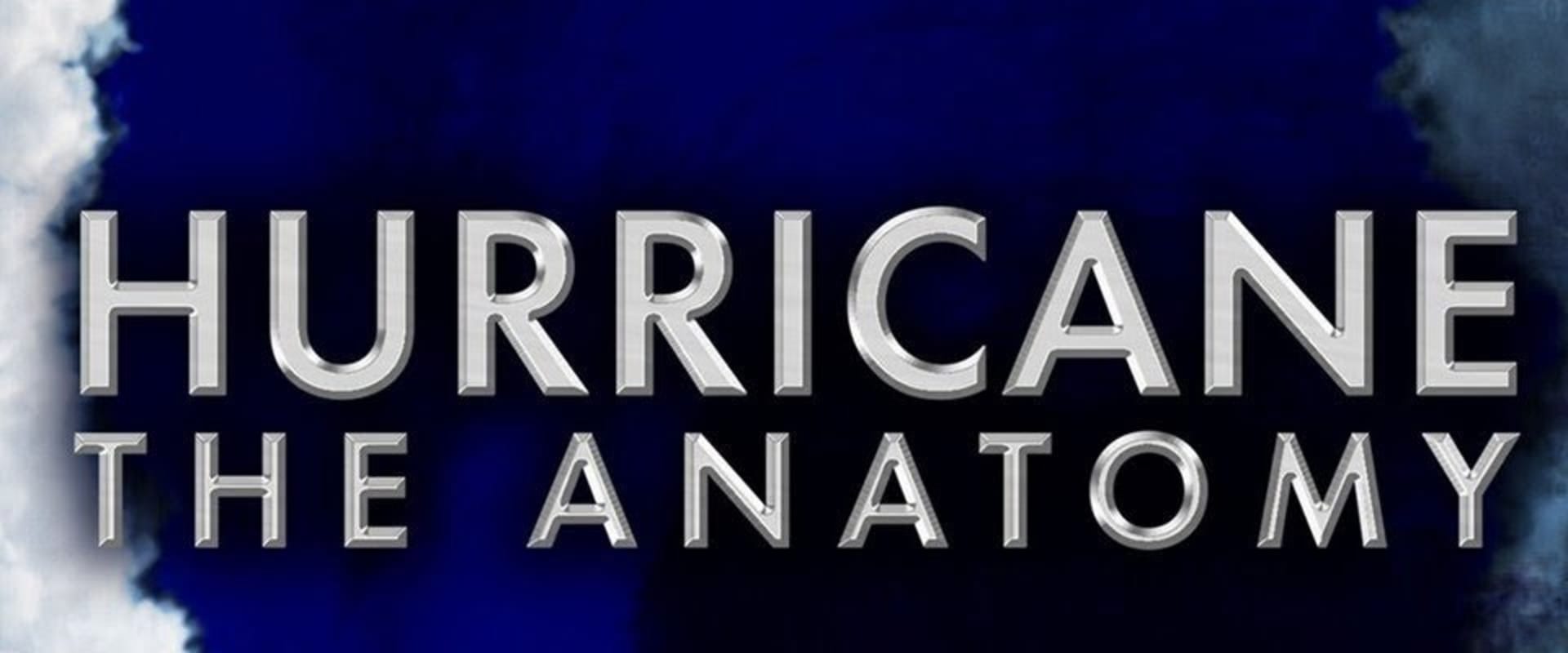 Documentary backdrop image for Hurricane the Anatomy (2014)