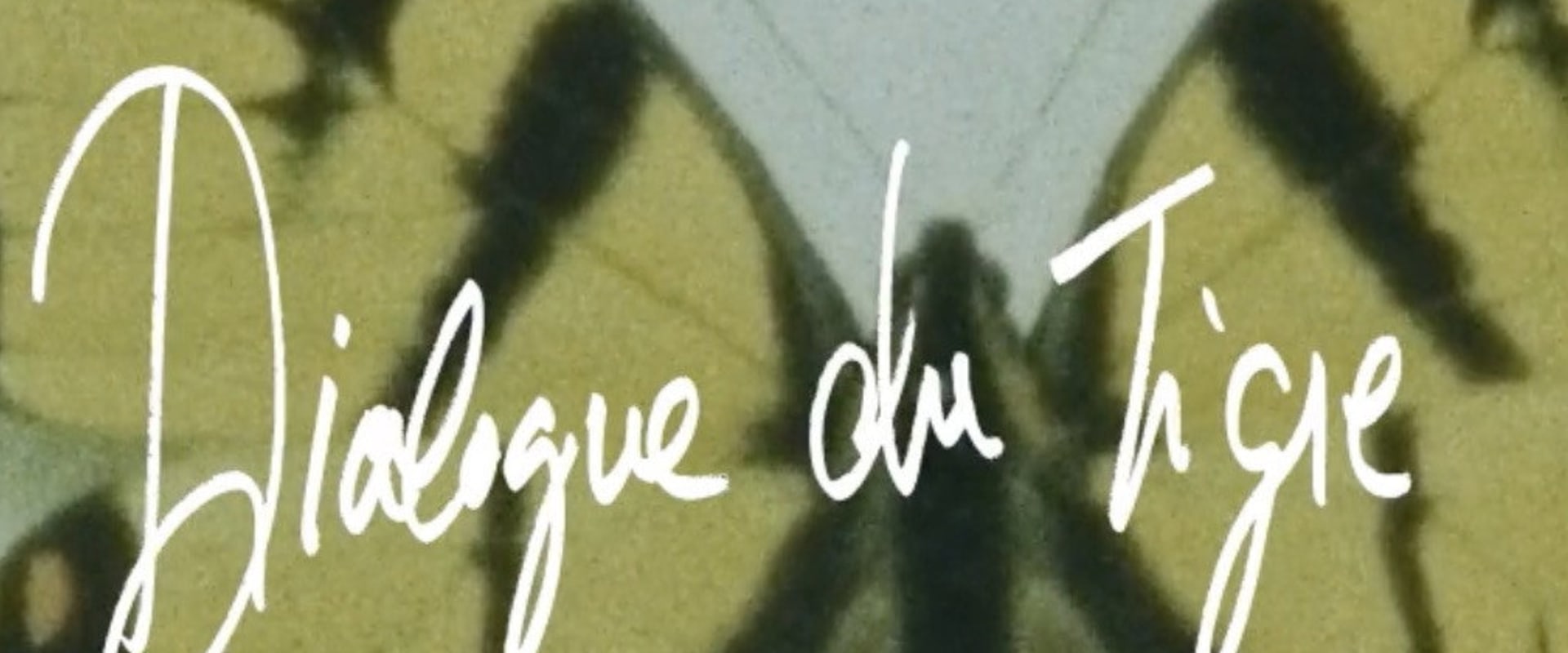 Documentary backdrop image for Tiger's Dialogue (2017)