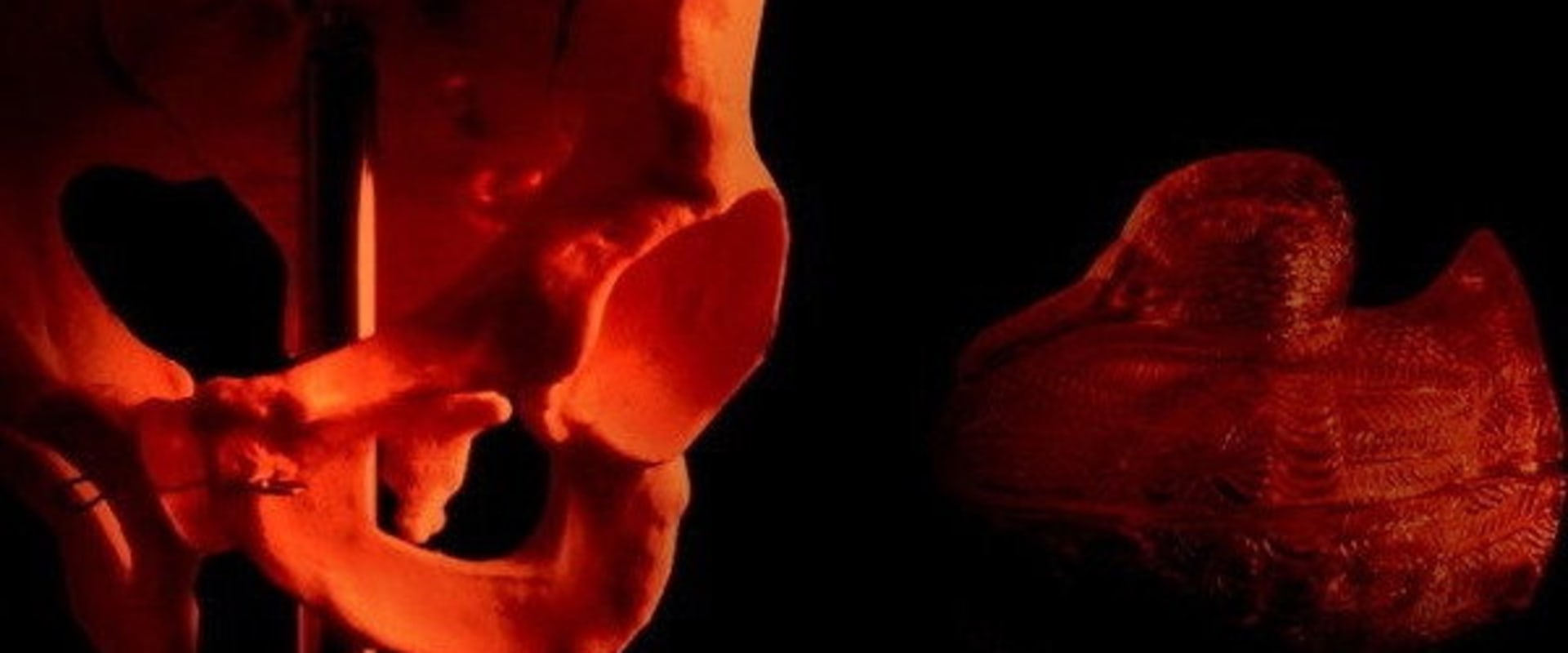 Documentary backdrop image for Year (2017)