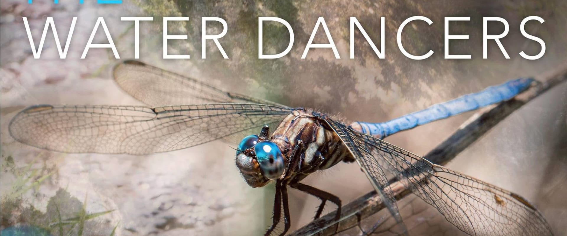 Documentary backdrop image for The Water Dancers (2018)