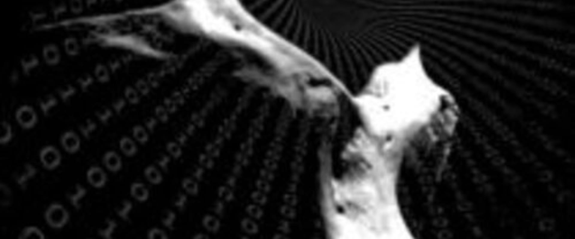 Documentary backdrop image for Reconvergence (2012)