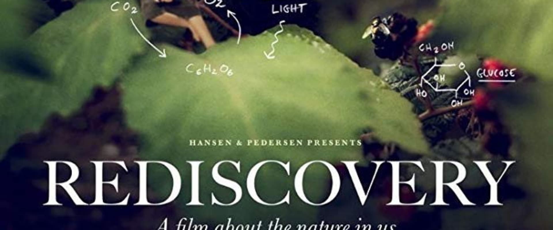 Documentary backdrop image for Rediscovery (2019)