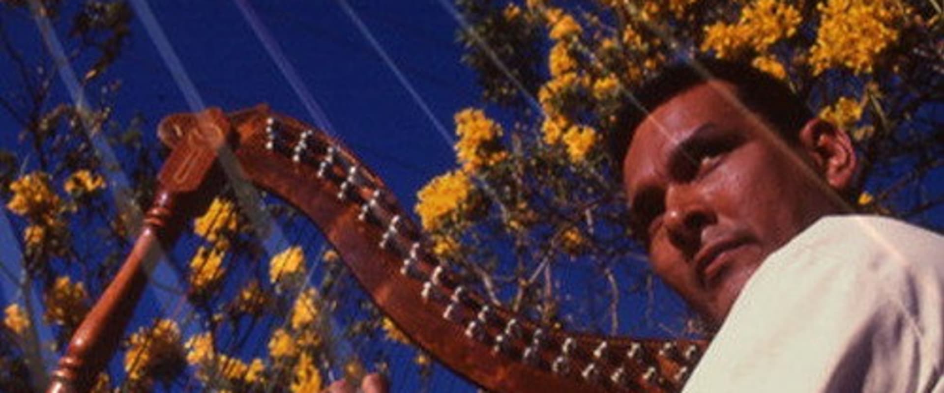 Documentary backdrop image for Metralleta (2007)