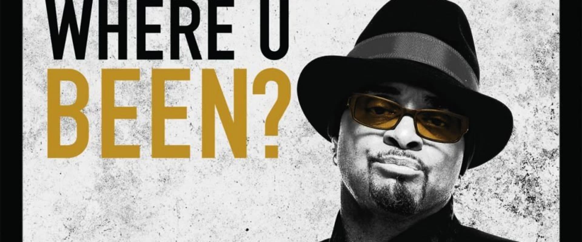 Documentary backdrop image for Sinbad: Where U Been? (2010)