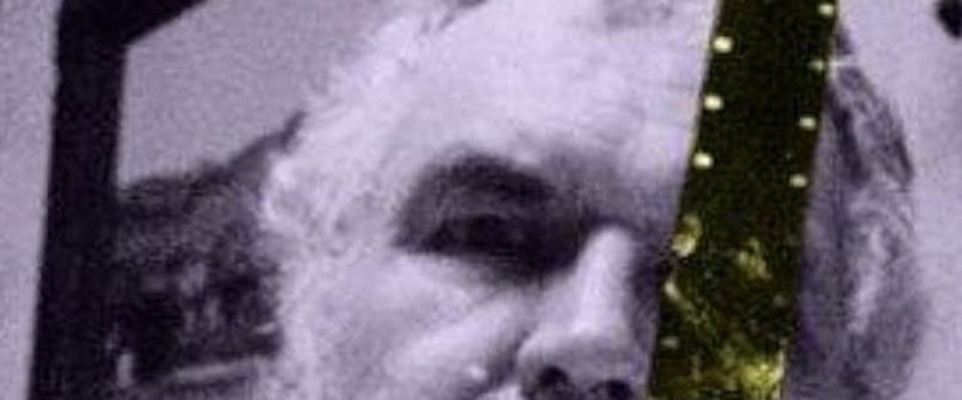 Documentary backdrop image for Brakhage (1998)