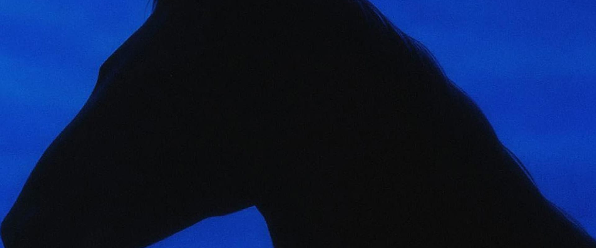 Documentary backdrop image for Air Horse One (2025)