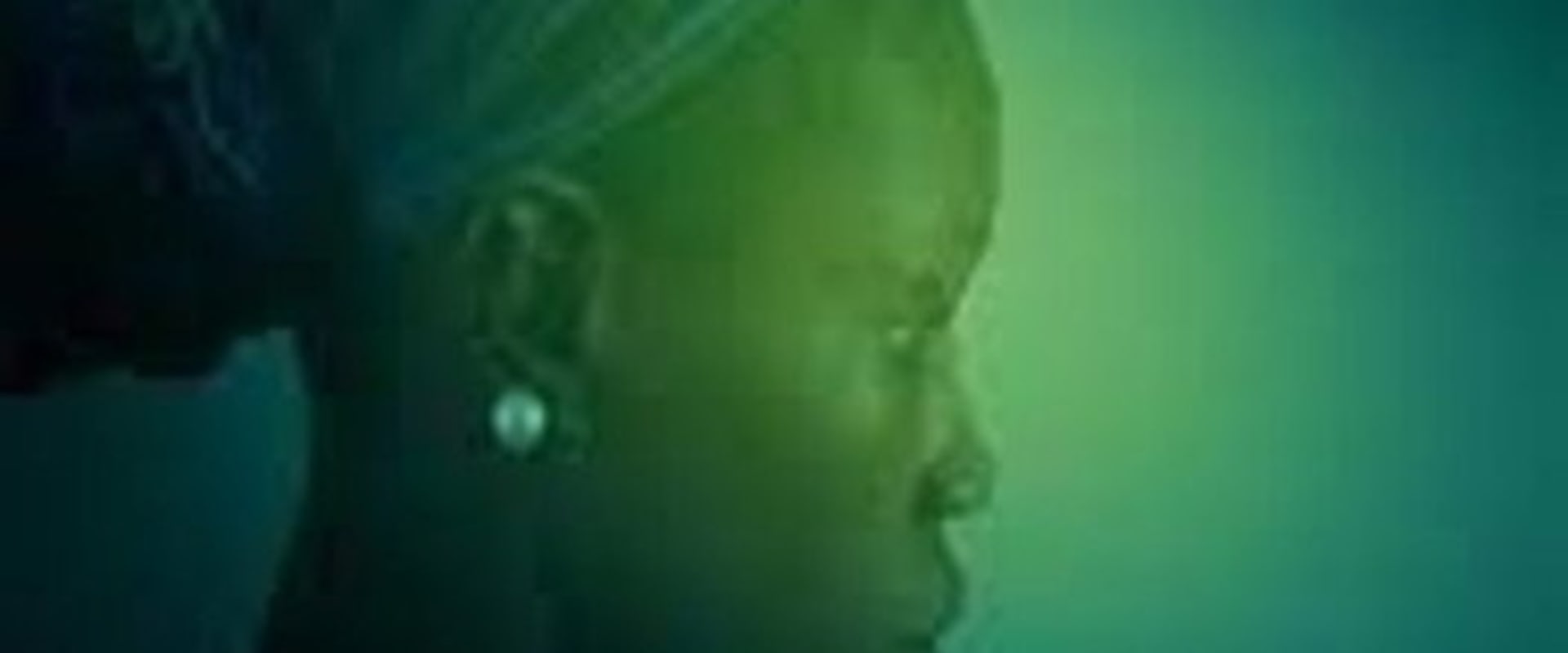 Documentary backdrop image for The Silent Monologue (2008)