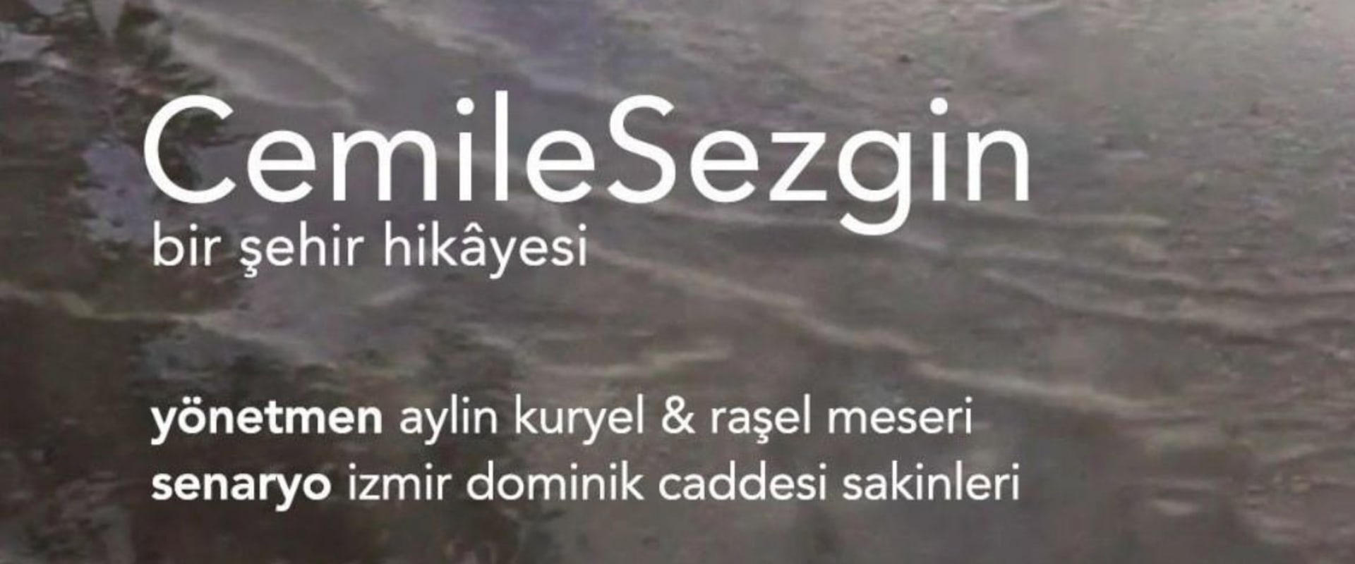 Documentary backdrop image for CemileSezgin (2020)