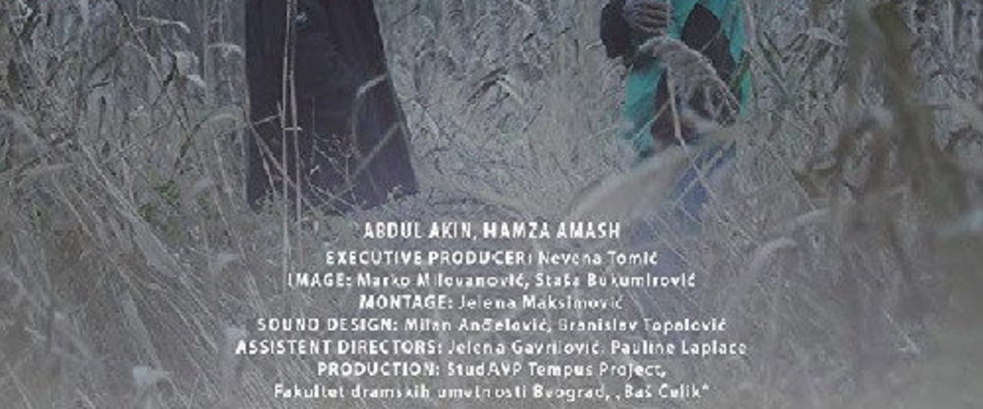 Documentary backdrop image for Abdul & Hamza (2015)