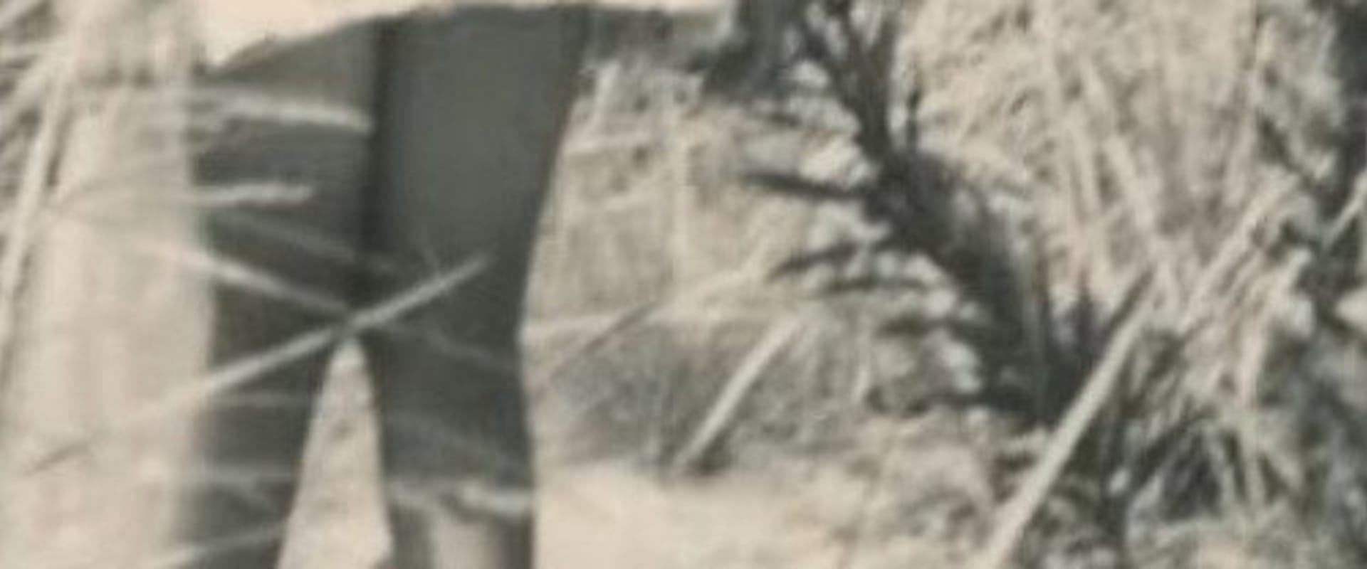 Documentary backdrop image for Child No. 182 (2024)