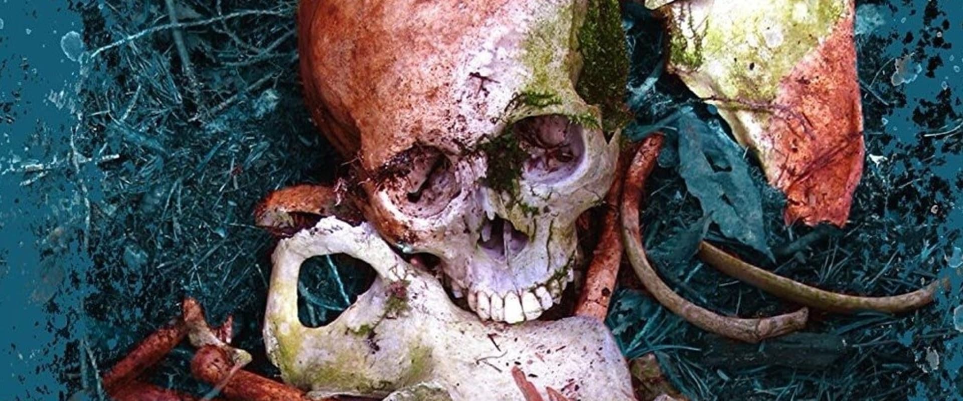 Documentary backdrop image for Junk Films (2007)