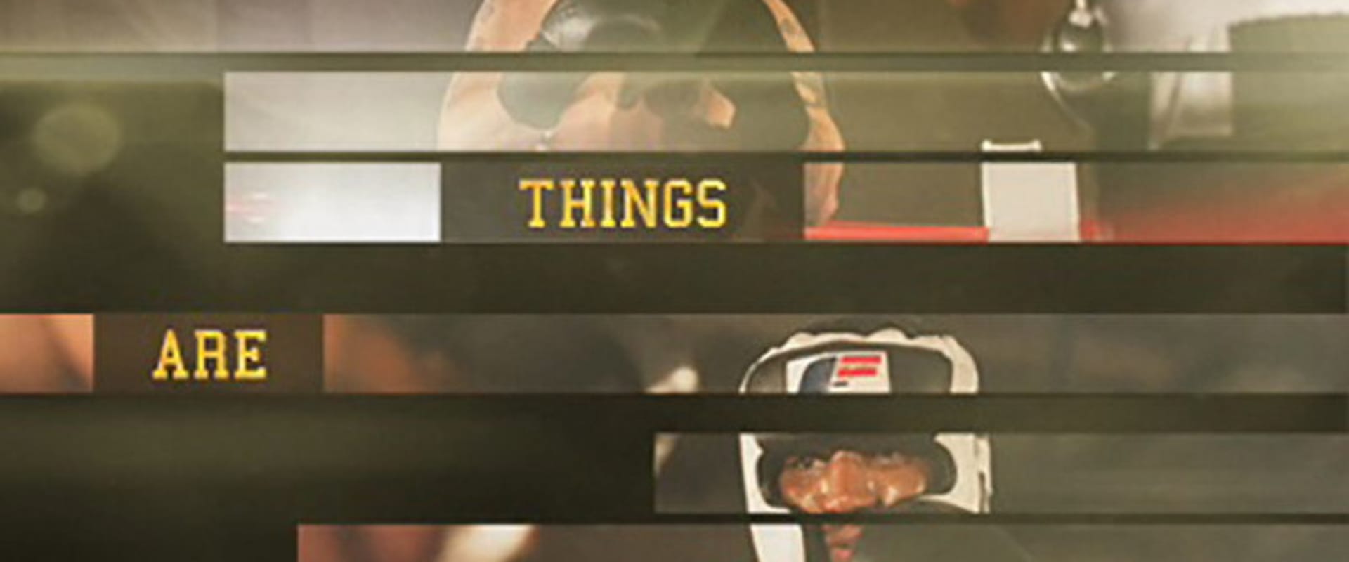 Documentary backdrop image for The Fight (2015)