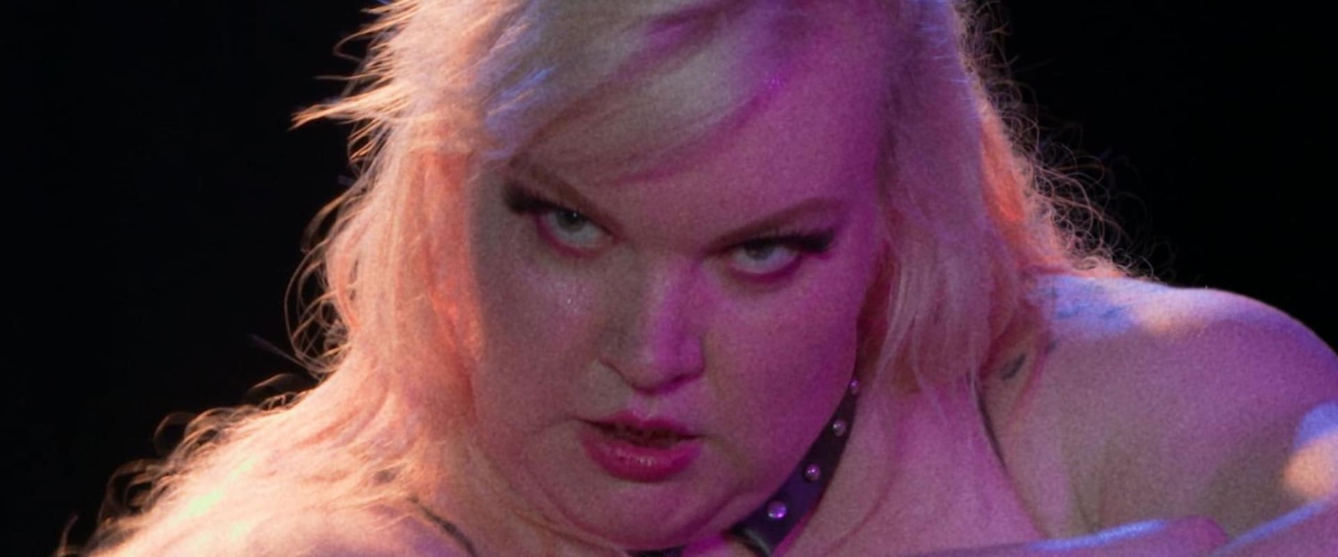 Documentary backdrop image for Fat Dance (2023)