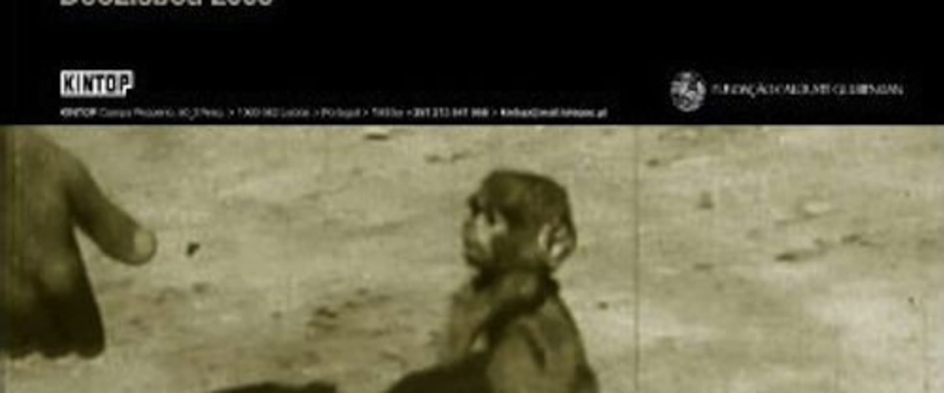 Documentary backdrop image for Still Life (2005)