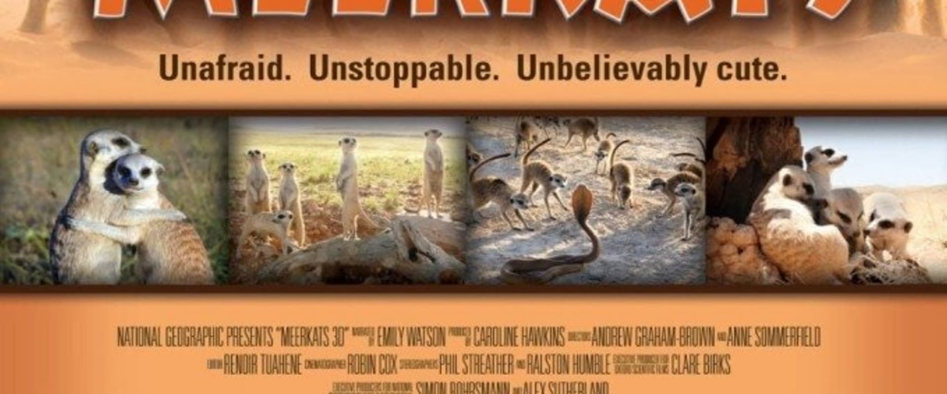 Documentary backdrop image for Meerkats 3D (2011)