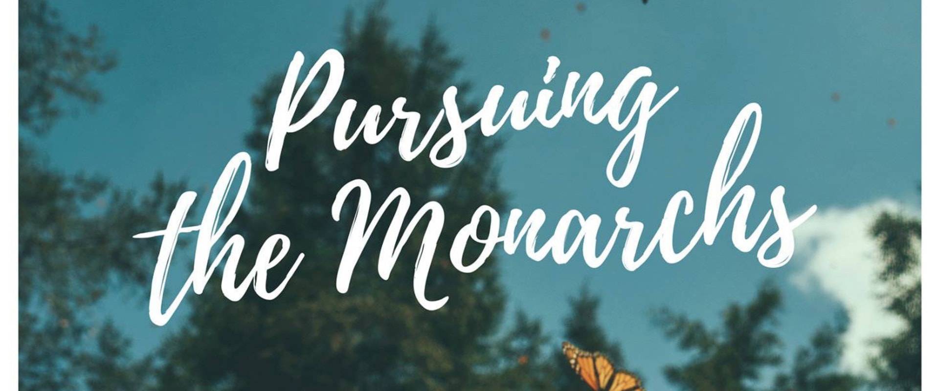 Documentary backdrop image for Pursuing the Monarchs (2017)