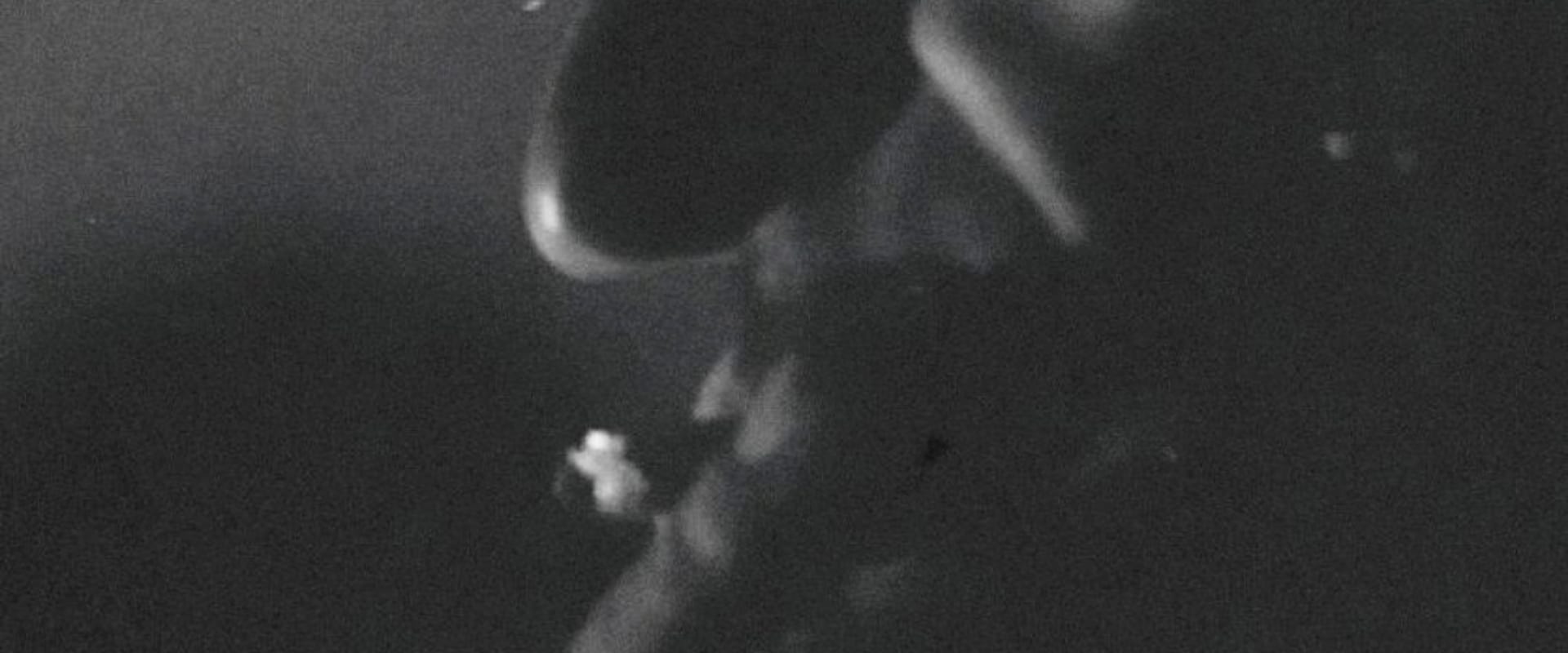 Documentary backdrop image for Mountain Vigil (1964)