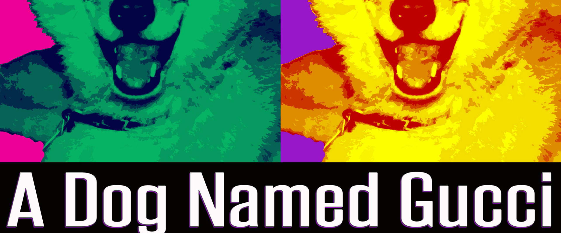 Documentary backdrop image for A Dog Named Gucci (2015)
