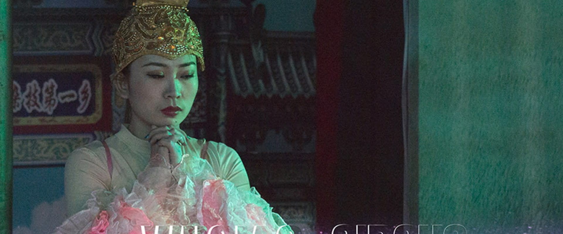 Documentary backdrop image for Wuqiao Circus (2020)