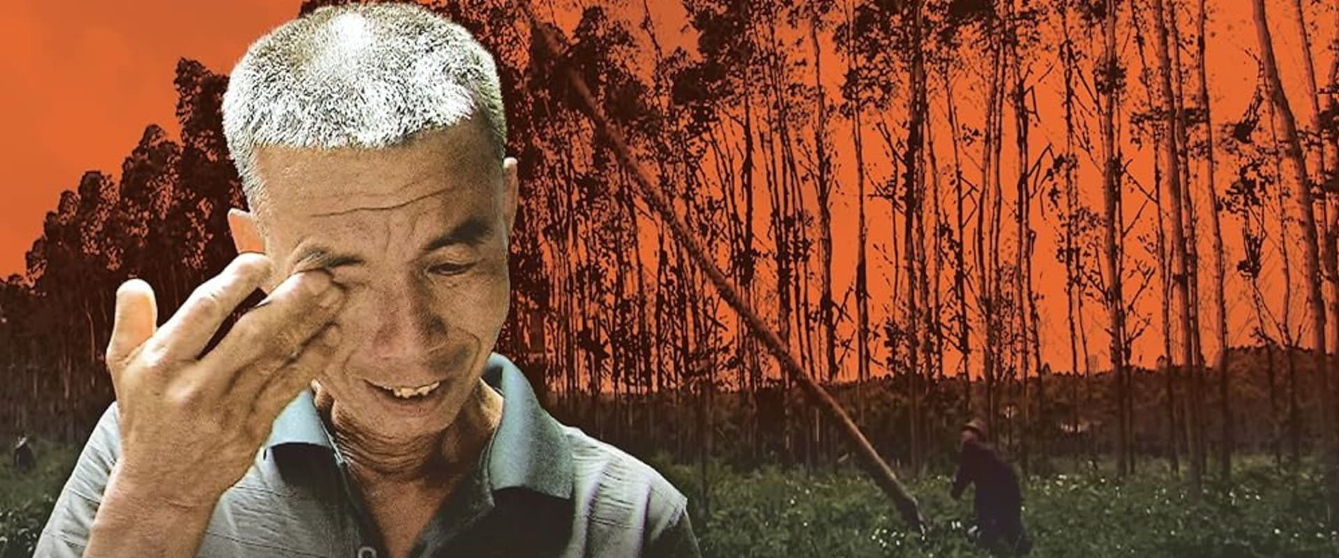 Documentary backdrop image for Red Forest Hotel (2012)
