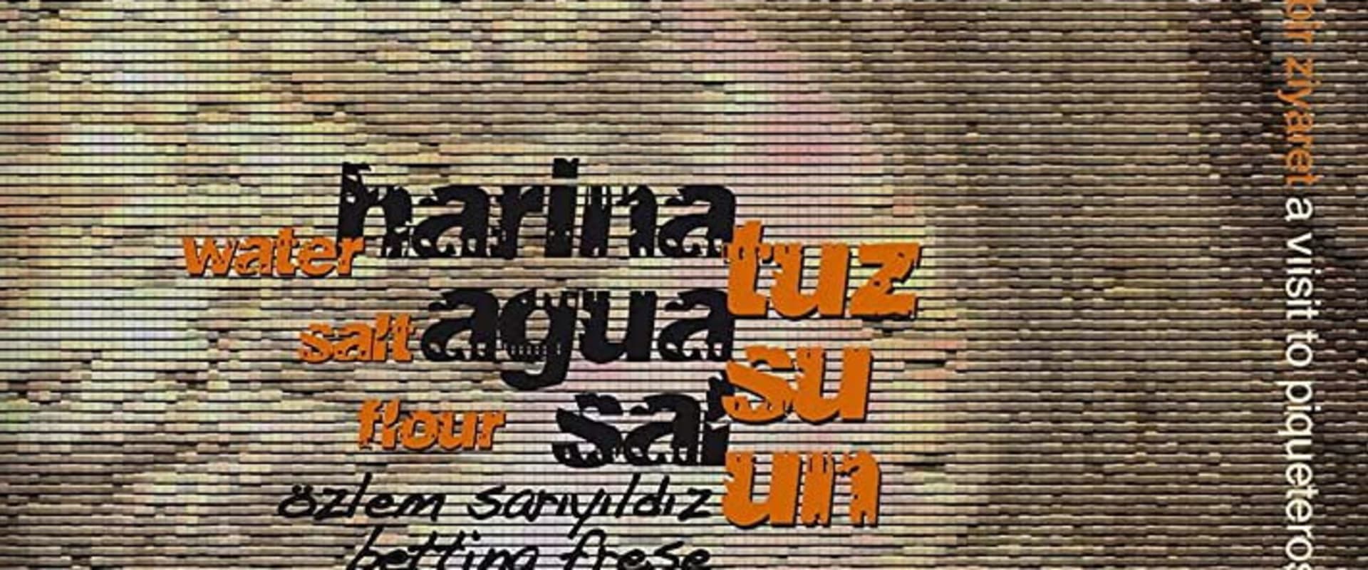 Documentary backdrop image for Water Salt Flour (2013)