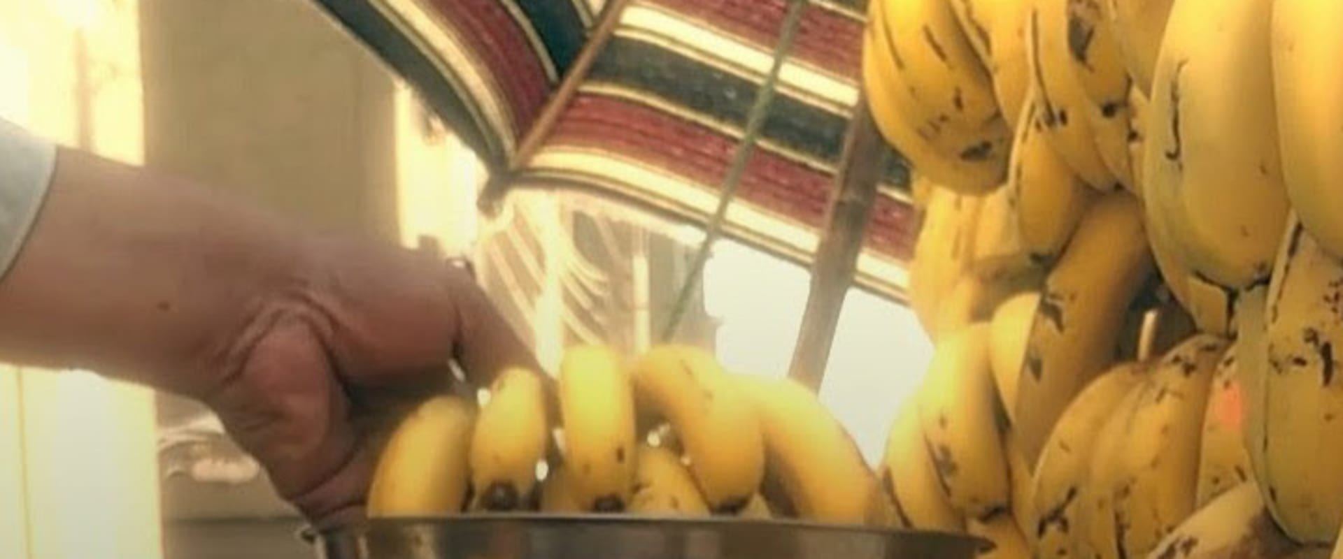 Documentary backdrop image for Smile (2021)