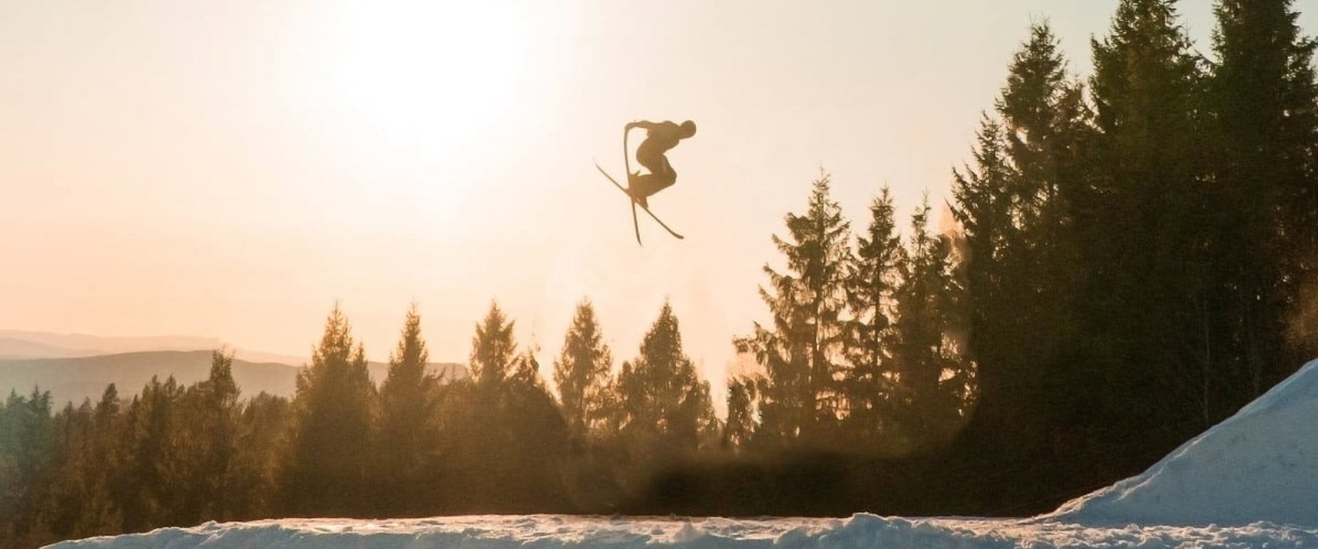 Documentary backdrop image for Ferda (2019)