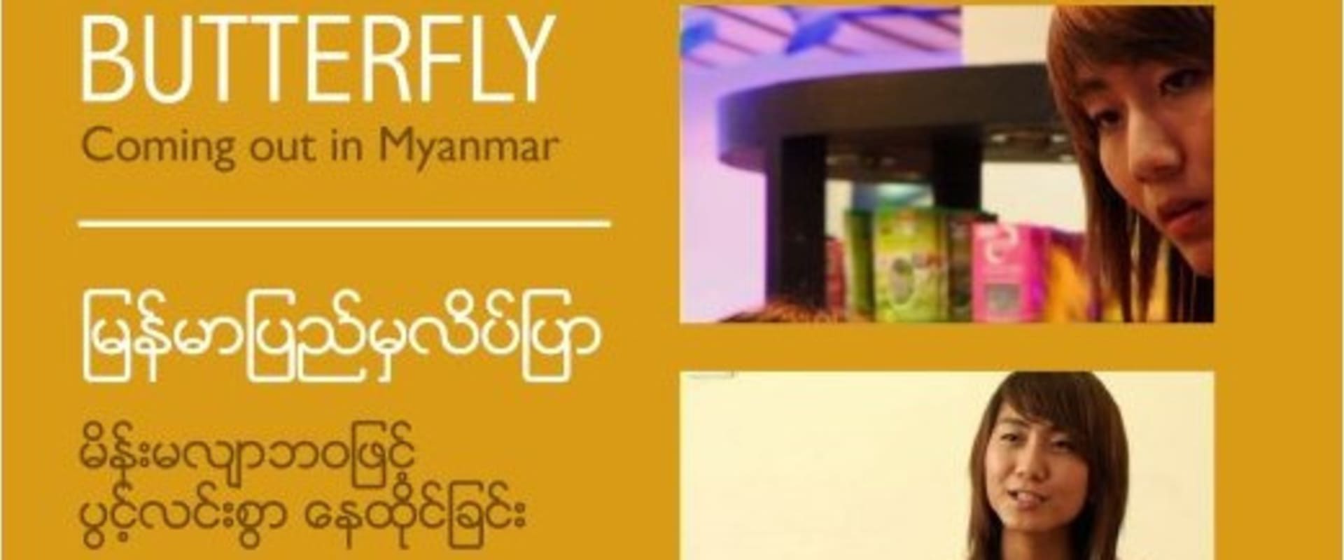 Documentary backdrop image for Burmese Butterfly (2012)