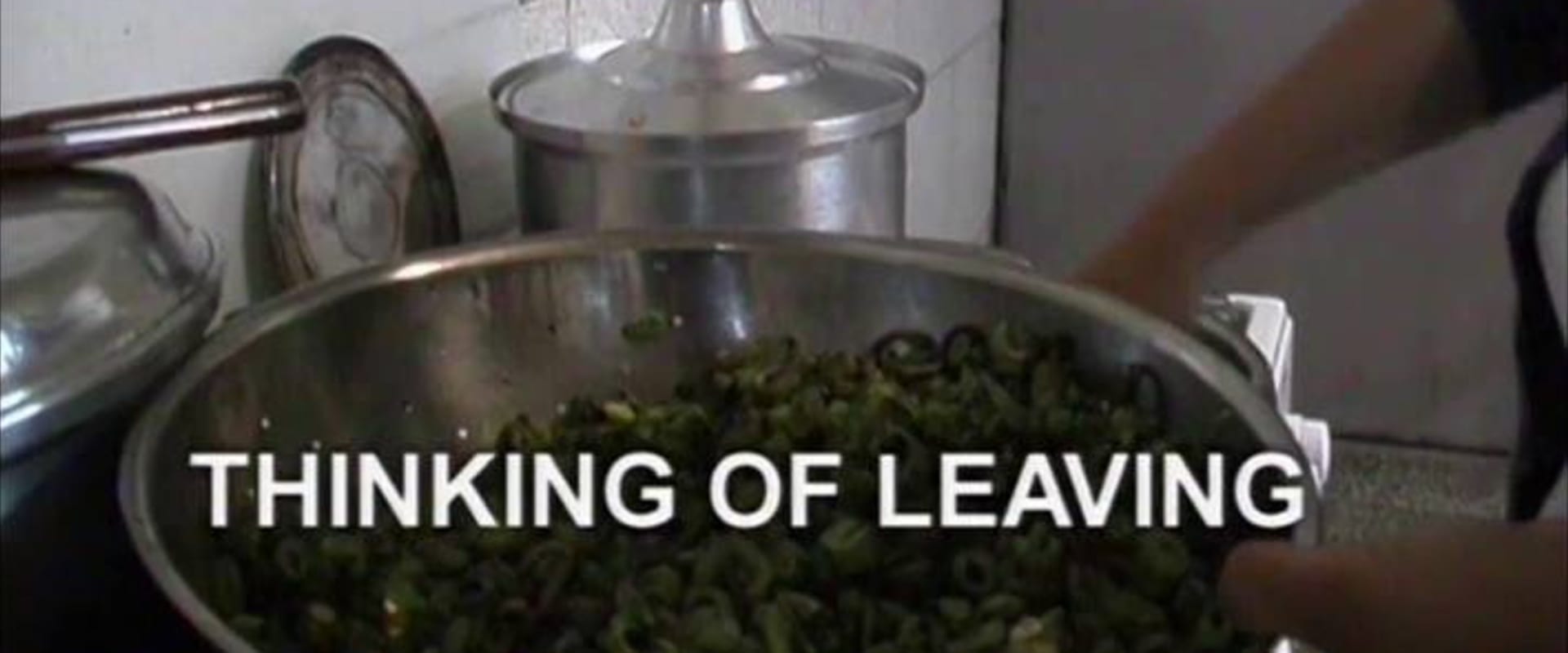 Documentary backdrop image for Thinking About Leaving (2006)