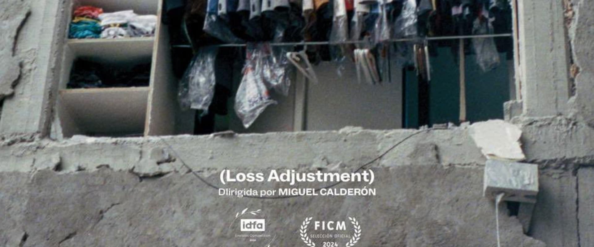 Documentary backdrop image for Loss Adjustment (2024)